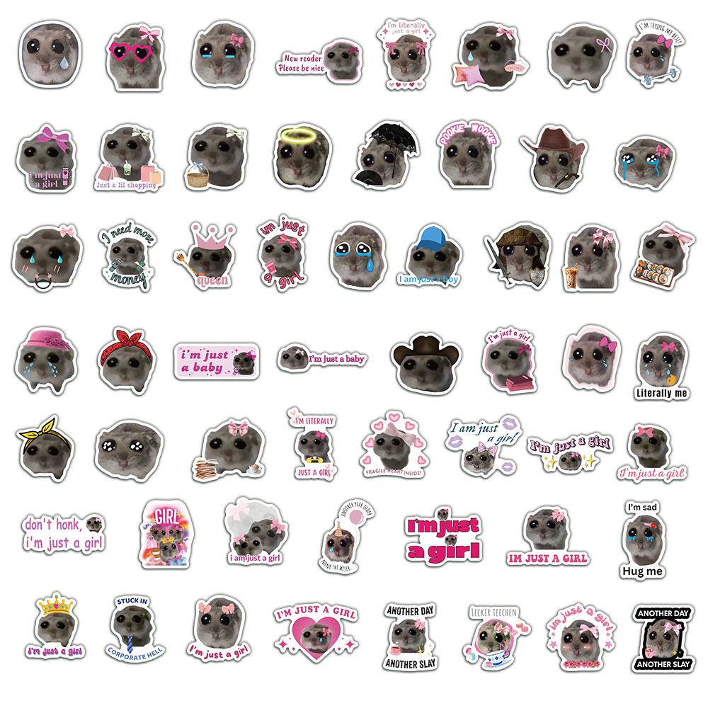 56pcs Cute Sad Hamster Meme St - Laptop Accessories Girly のレビューと価格