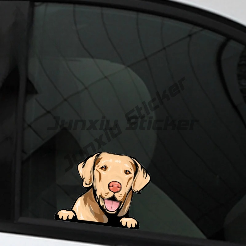 Labrador Retriever Peeker Car  - Yellow Laptop Accessories のレビューと価格