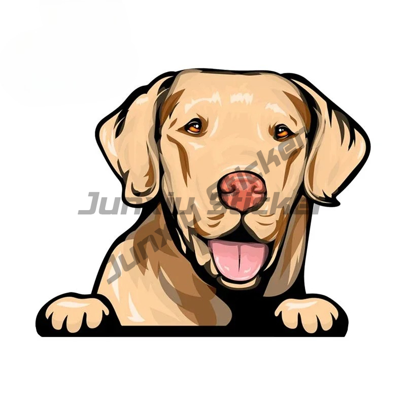 Labrador Retriever Peeker Car  - Yellow Laptop Accessories のレビューと価格