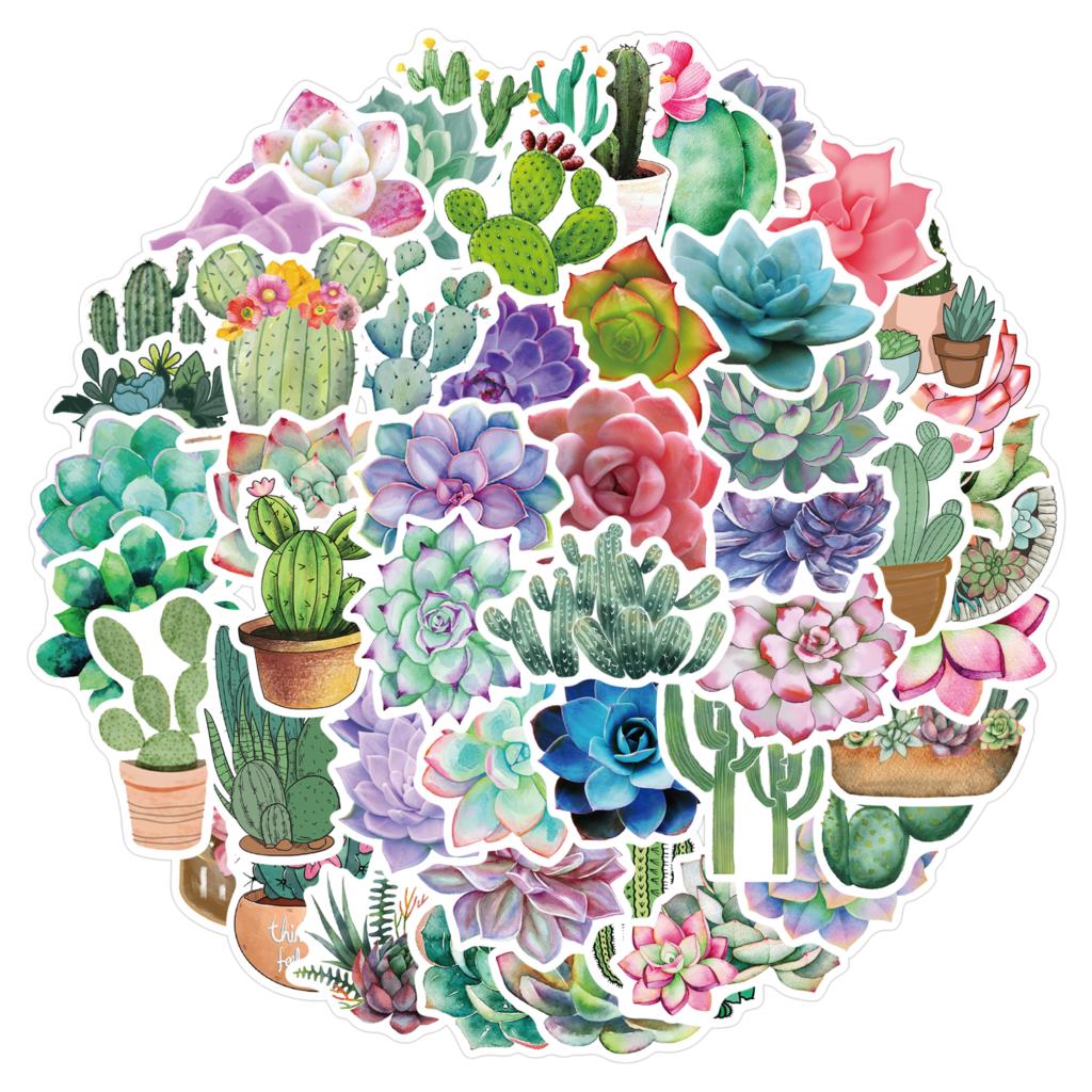 50PCS Succulent Stickers For L - Laptop Accessories Girly のレビューと価格