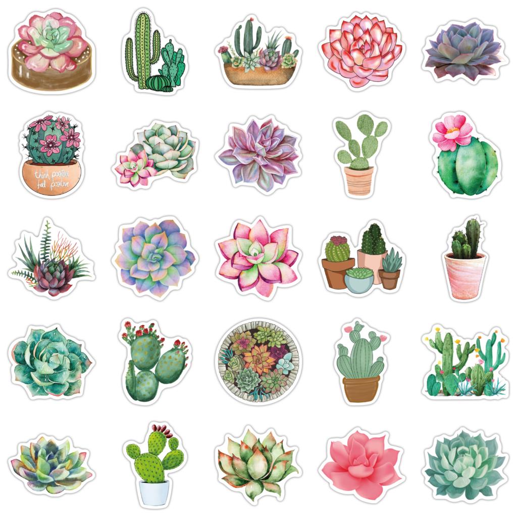 50PCS Succulent Stickers For L - Laptop Accessories Girly のレビューと価格