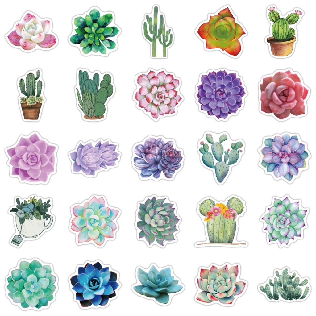 50PCS Succulent Stickers For L - Laptop Accessories Girly のレビューと価格