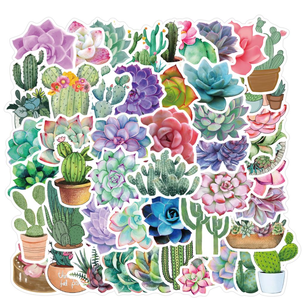 50PCS Succulent Stickers For L - Laptop Accessories Girly のレビューと価格